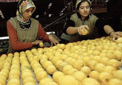 Istat, +0,4% ad aprile, +1,5% annuo