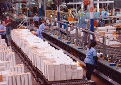 Istat, prezzi produzione -0,1% a luglio, +3,9% annuo