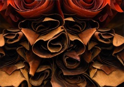 Lavoratori in sciopero per mancato rinnovo