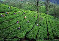 Rinnovato il contratto nazionale