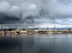La Corte Costituzionale promuove la legge salva-Ilva