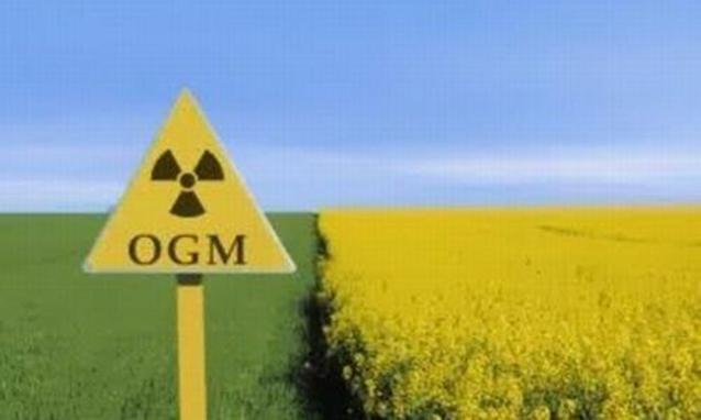 Il 76% degli italiani è contro Ogm