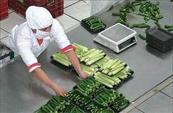 Rinnovato il contratto nazionale, aumento di 85 euro