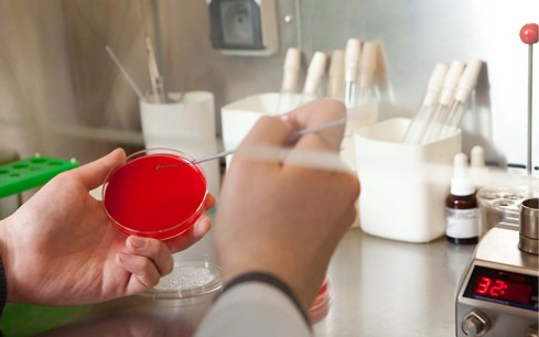 Siglato accordo per salvaguardia occupazione