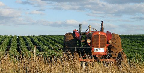 Coldiretti, con monopolio prezzi ortofrutta fino a +300%