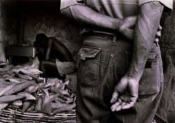 Istat,  economia in nero vale 211miliardi, il 13% del Pil