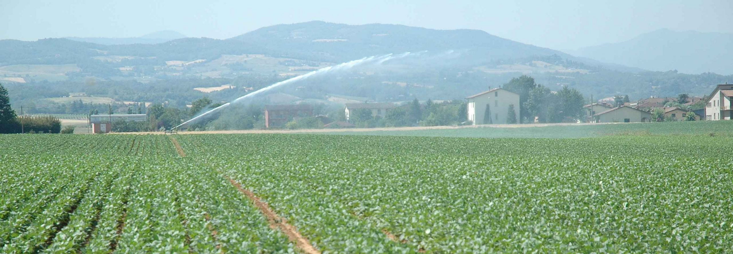 Rinnovato contratto quadri e impiegati agricoli