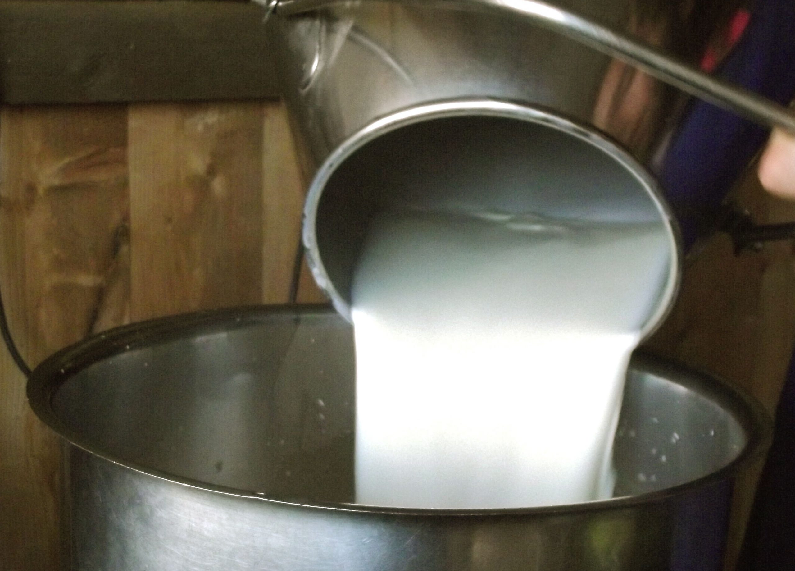 Trovato l’accordo sul prezzo del latte: 74 centesimi al litro