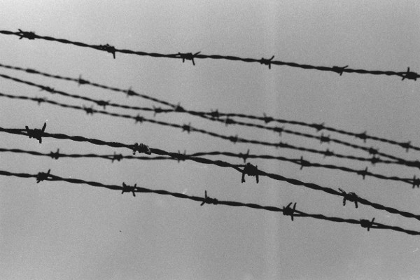 La giornata della memoria