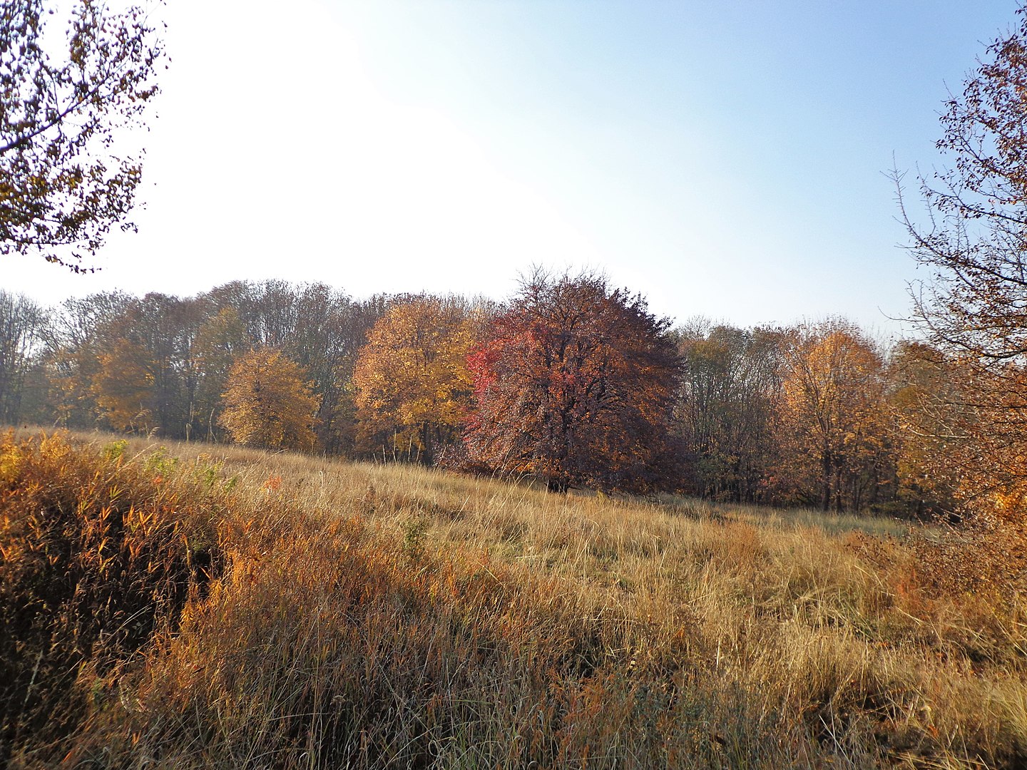 Un anno sul monte Calvo