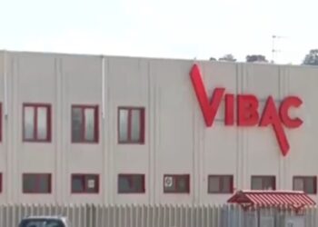 Vibac, proclamato lo stato di agitazione negli stabilimenti di Termoli e Viggiano, i sindacati chiedono un incontro al Mimit