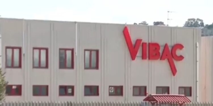 Vibac, proclamato lo stato di agitazione negli stabilimenti di Termoli e Viggiano, i sindacati chiedono un incontro al Mimit