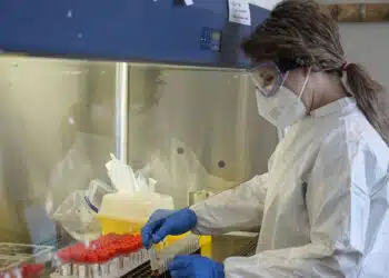 Screening anti-infertilità e tumori in azienda: al via il progetto di Fondazione Foresta su un nuovo welfare aziendale che coinvolgerà 400 persone