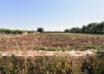 Lavoro, Coldiretti: con la desertificazione persi 33mila posti al Sud