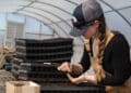 Save the Children: lavoro precoce per 336.000 minori in Italia