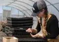 Save the Children: lavoro precoce per 336.000 minori in Italia