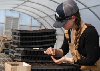 Save the Children: lavoro precoce per 336.000 minori in Italia