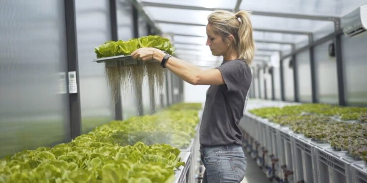 Agricoltura, con EPDItaly e Agricooltur la prima PCR dedicata al settore