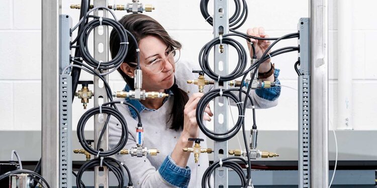 In Italia solo il 15,7% delle donne lavora nel campo dell’ICT: e il divario con l’Europa continua ad allargarsi