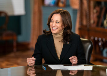 Il punto debole di Kamala Harris? it’s economy, stupid