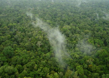 Continuiamo così, facciamoci del male
