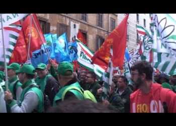 Manifestazione metalmeccanici, sindacati: dobbiamo salvaguardare il lavoro, il Governo intervenga