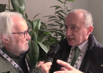 Contratto Elettrici, Testa (Flaei Cisl): soddisfatti del rinnovo, abbiamo fatto presto e bene