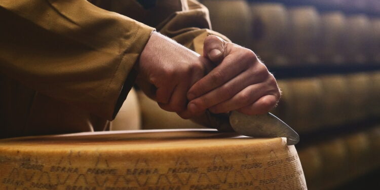 Consorzio Grana Padano, i dazi colpiranno il prodotto e i consumatori americani favorendo l’ “Italian sounding”