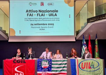 Operai agricoli, sindacati: approvata la piattaforma per il rinnovo del contratto nazionale