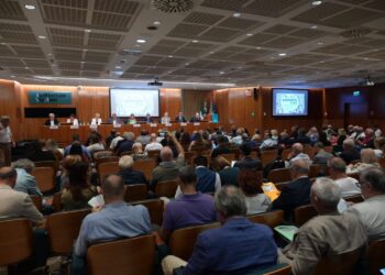 Contrattazione, Cisl: in 3 anni 1.726 accordi territoriali per 13,4 mln di persone. Fumarola: chiave per rispondere a una delle più grandi sfide del nostro tempo