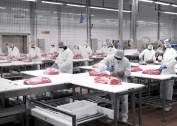 Inalca, sindacati: ottenuta proroga della Cigs e servizio di ricollocazione