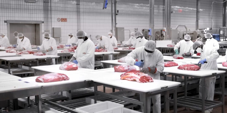 Inalca, sindacati: ottenuta proroga della Cigs e servizio di ricollocazione