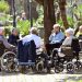 Disabilità, con la sperimentazione della riforma quasi 90 mila domande di invalidità civile in meno. I dati Spi-Cgil
