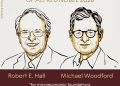 Premio Nobel per l’economia 2026 agli statunitensi Robert Hall e Michael Woodford  per gli studi sulla stabilizzazione macroeconomica